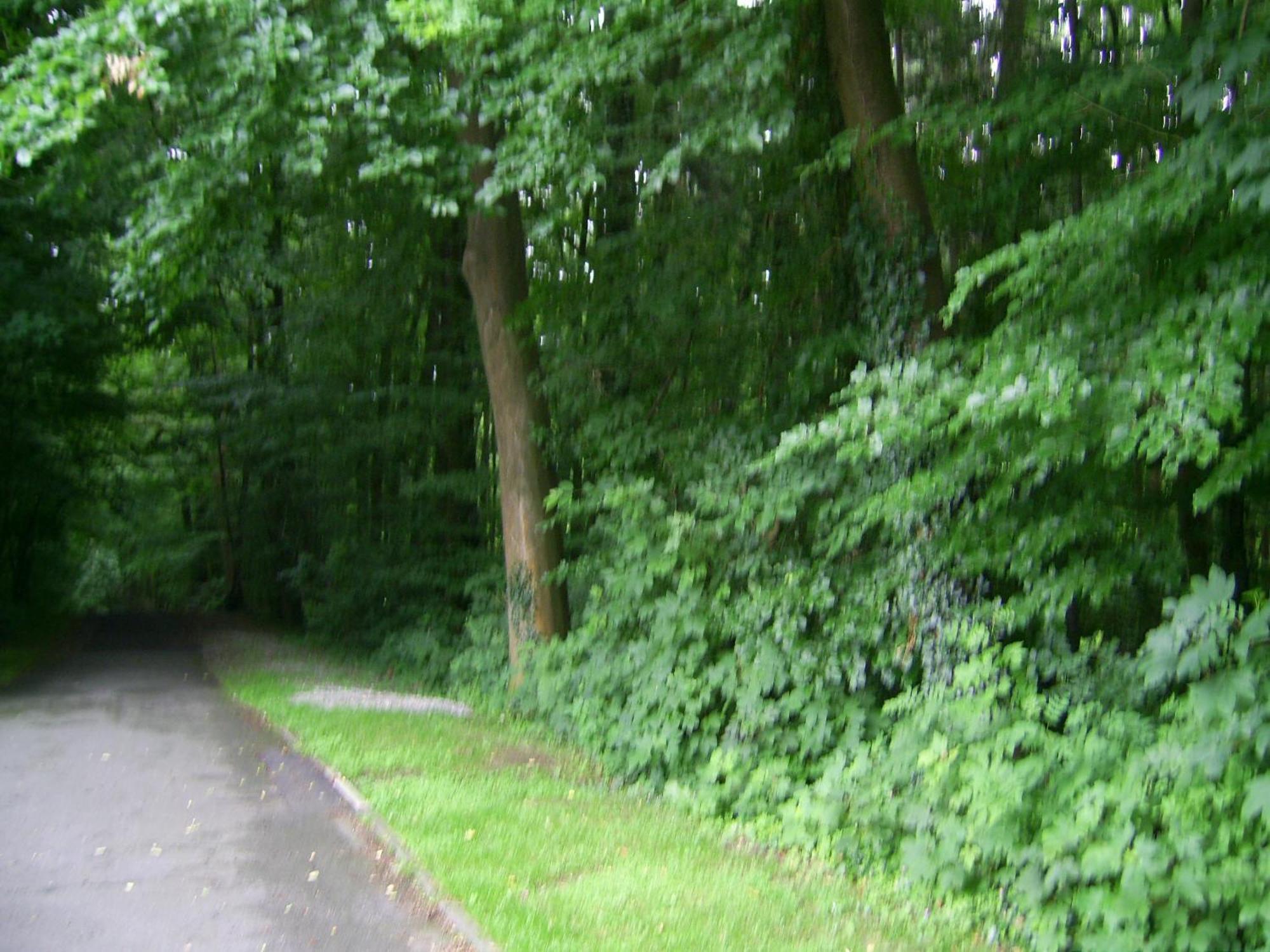 Waldpension Bielefeld Exteriör bild