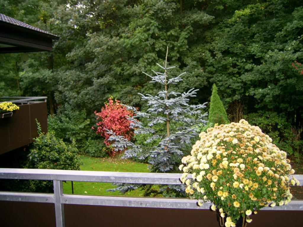 Waldpension Bielefeld Exteriör bild